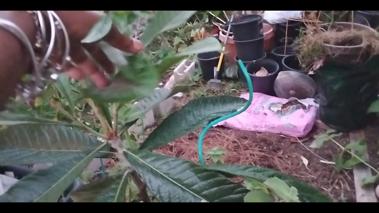 FALLing In Tha Garden! Ouch! 