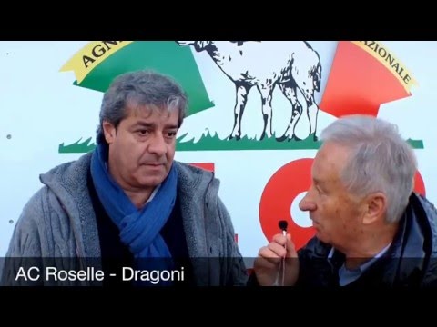 Roselle - Manciano - Dragoni