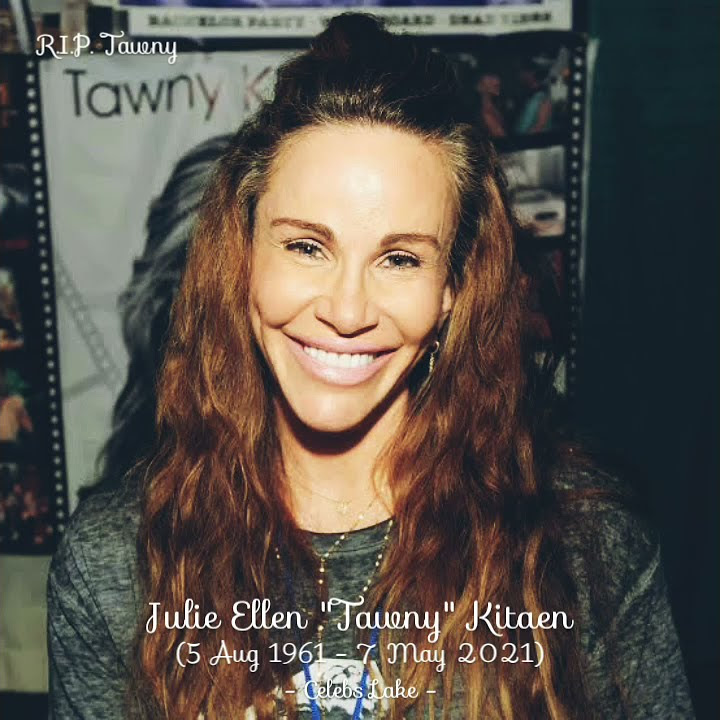 Tawny Kitaen Birthday 2021 Tribute Instagram WhatsApp Status Whitesnake California Girls #Shorts