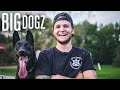 Meet Logan Paul’s Celebrity Dog Trainer | BIG DOGZ
