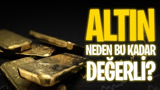 Altın Gerçeği: Siyanür, Doğayı Nasıl Zehirliyor?