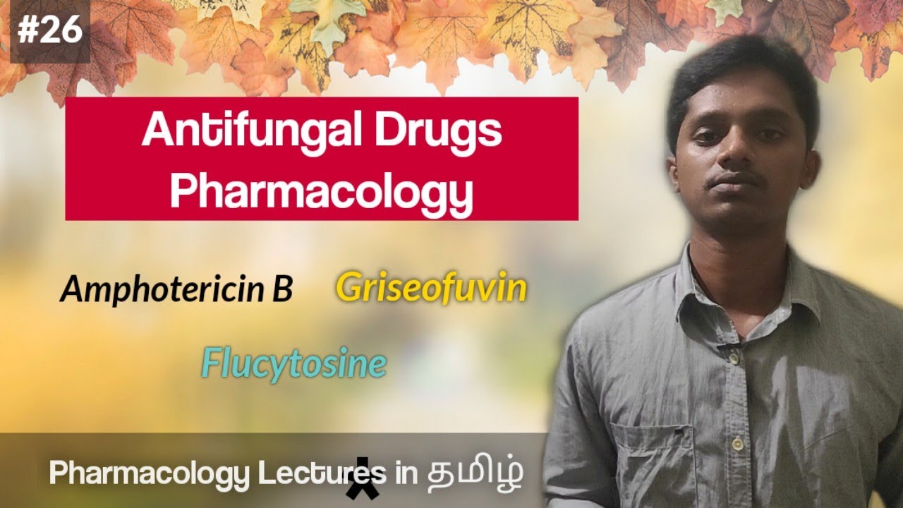 26 Pharmacology of Antifungal Drugs in தமிழ் Amphotericin B