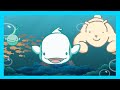 Baby Beluga - Songs for Kids, Children's Music
