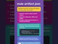 mule artifact.json #shorts