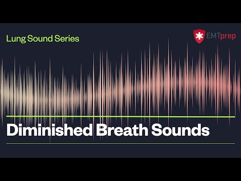 Diminished Breath Sounds - EMTprep.com