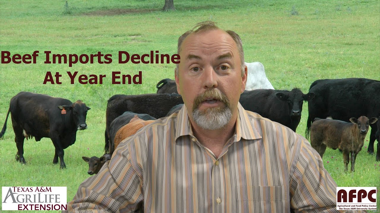 Beef Imports Decline At Year End