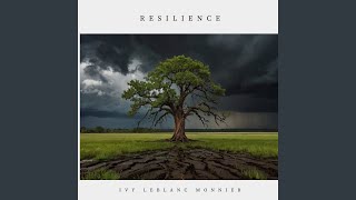 Don't Let Me Cry (Live)