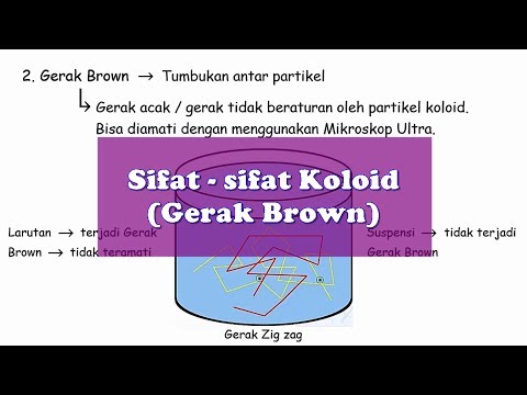 Video: Apa contoh gerak Brown?