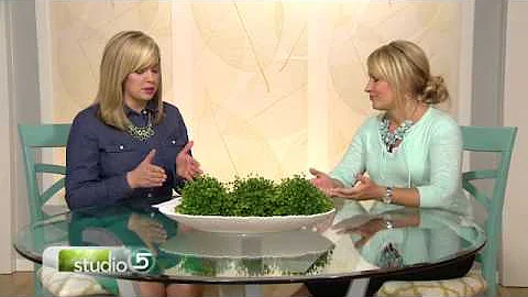 5 Questions to Ask Before Getting Plastic Surgery: Julie Hanks LCSW on KSL TV's Studio 5