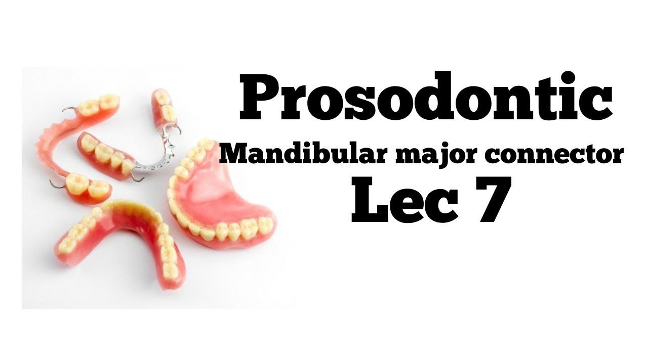 Lec 7 || mandibular major connector || بروس مرحلة ثالثة - YouTube