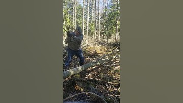 True Temper Kelly Perfect