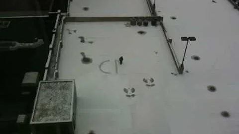 Nashville Snow Angel