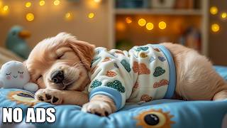 12 Hours of Dog Calming Music for Dogs 🐶Healing Calm Anxiety for Stress Relief & Deep Sleep for Dog🌙