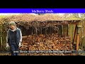 Mulberry Sheds Mulberry Sheds