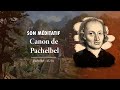 Canon de pachelbel en 432 hz  8 acides amins