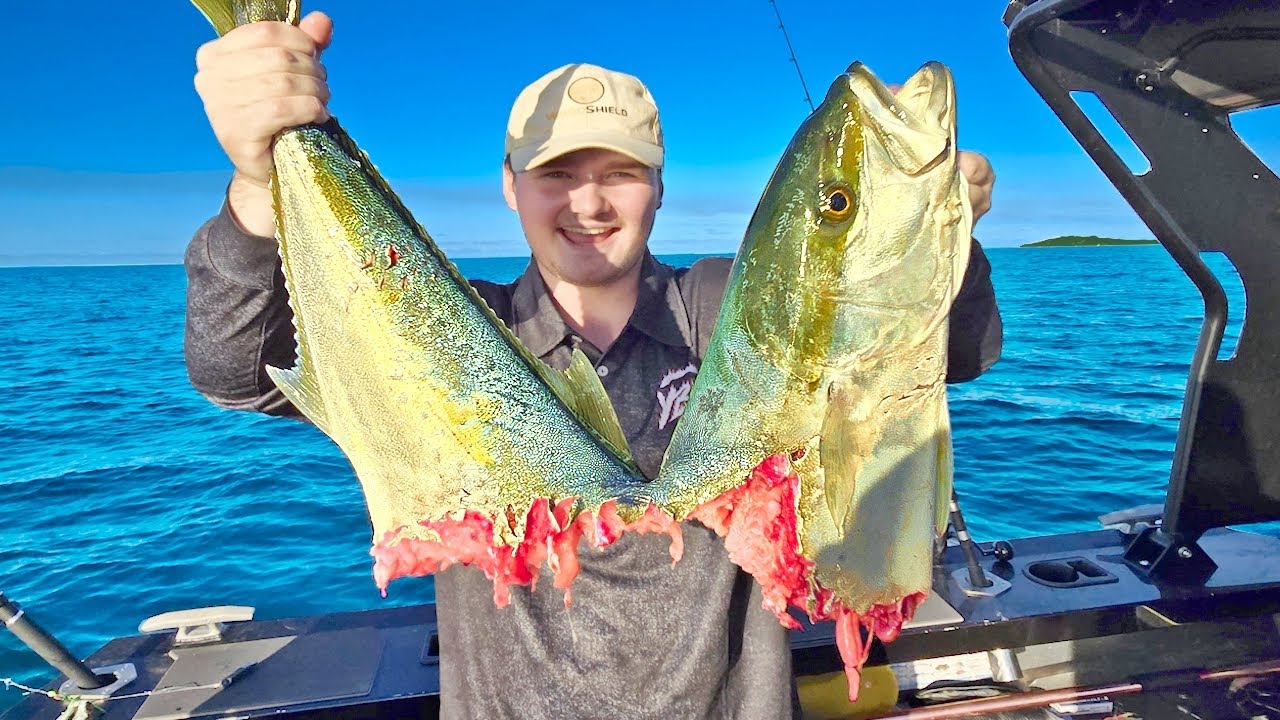 BIG Kingfish ACTION off Moreton Island!
