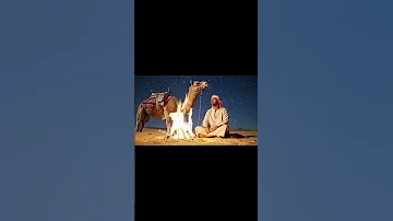 Mystical Echoes Of The Oud A Mesmerizing Journey Through Traditional Arabic Instrumental Vibes 
