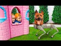 Chris juega con el perro robo - Cuentos divertidos para niños