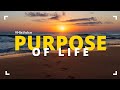 Purpose of life  his voice  hh maharanyam sri sri muralidhara swamiji  english episodes