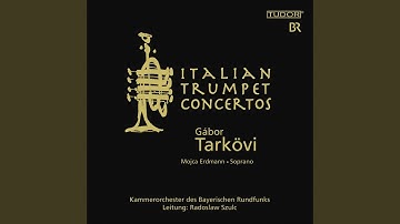 Concerto for Oboe and Violin in B-Flat Major, RV 548: I. Allegro