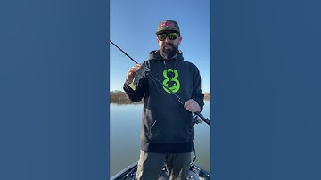 Bulge Lips introduction and product description