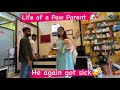 Life of a Paw Parent in 📍Guwahati  | My Dog got bitten by another Dog | #vlog19