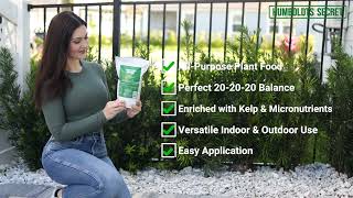 Humboldts Secret Everything Growing Plant Food - Professional 4K Amazon Listing Product Video by The Berkshire's Best Buys 24 views 1 month ago 1 minute, 8 seconds