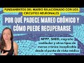 Por qué padece mareo crónico y cómo puede recuperarse - MPPP, SMDD, migraña vestibular