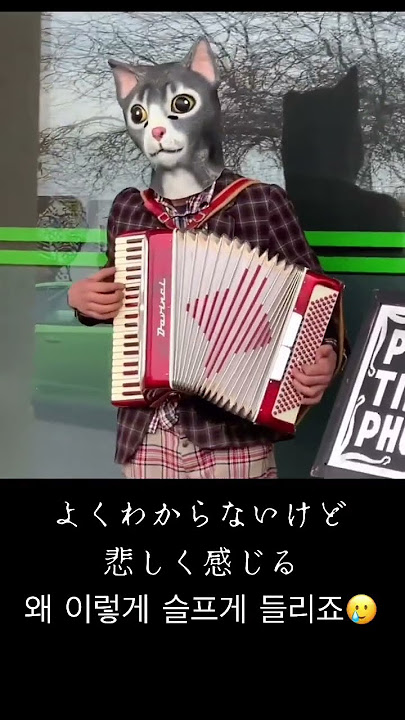 Cat sadly playing the accordion in Downtown Seattle #Shorts