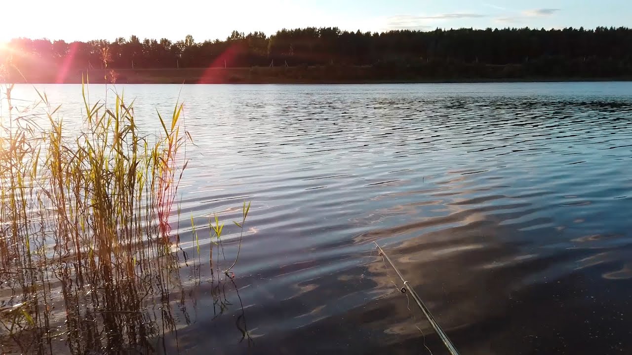 Рыбалка на реке волга. Река Волга рыбалка. Утренняя рыбалка на Волге. Рыбалка на Волге фото. Рыбака на реке Волге.