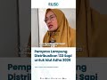 Pemprov Lampung Distribusikan 133 Sapi untuk Idul Adha 2026