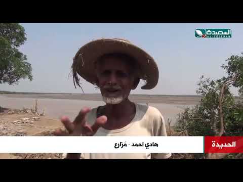 نداء إستغاثة يطلقها مزارعو وادي مور من السيول الجارفة ومخلفاتها