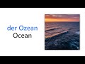 50 Ocean Words in German | Wortschatz zum Thema Ozean &amp; Meer | German Ocean Vocabulary A1–A2