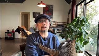 闲聊：为什么医保不能取消中药制剂；取消公摊的最大意义；“带枪乞讨”的中国官方慈善事业