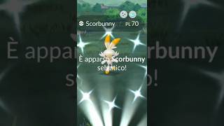 Shiny Scorbunny appeared #youtubeshorts #scorbunny #pokémongovideos #shinypokemon #pokemongo #shorts @NintendoHallChannel