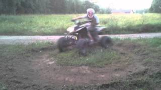 R.I.P Bashan BS250 S-11 (Quad)