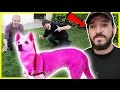 PINK HAIR DYE ON ROOMMATES DOG PRANK | Prank Wars