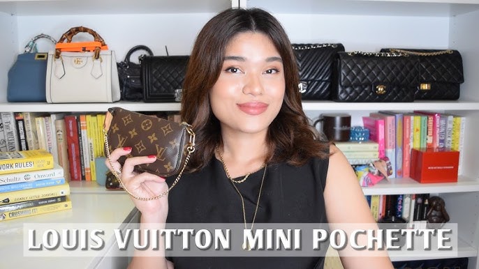 Louis Vuitton Mini Lin Pochette – SFN