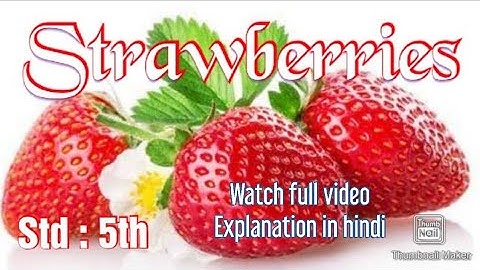 Strawberries Poem | std 5 English poem | Explanation in hindi | poem recitation | Sudesh Bhagat