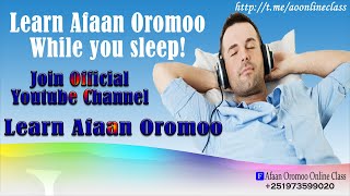 Learn afaan oromo while you sleep or walk screenshot 3