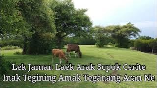 Lirik Lagu Sasak (Lombok) - Inaq Tegining Amaq Teganang