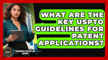 What Are the Key USPTO Guidelines for Patent Applications? | Trademark and Patent Law Experts News