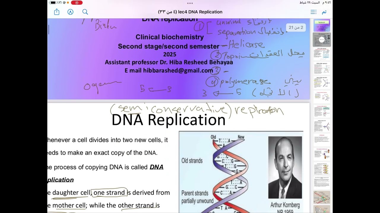 DNA replication