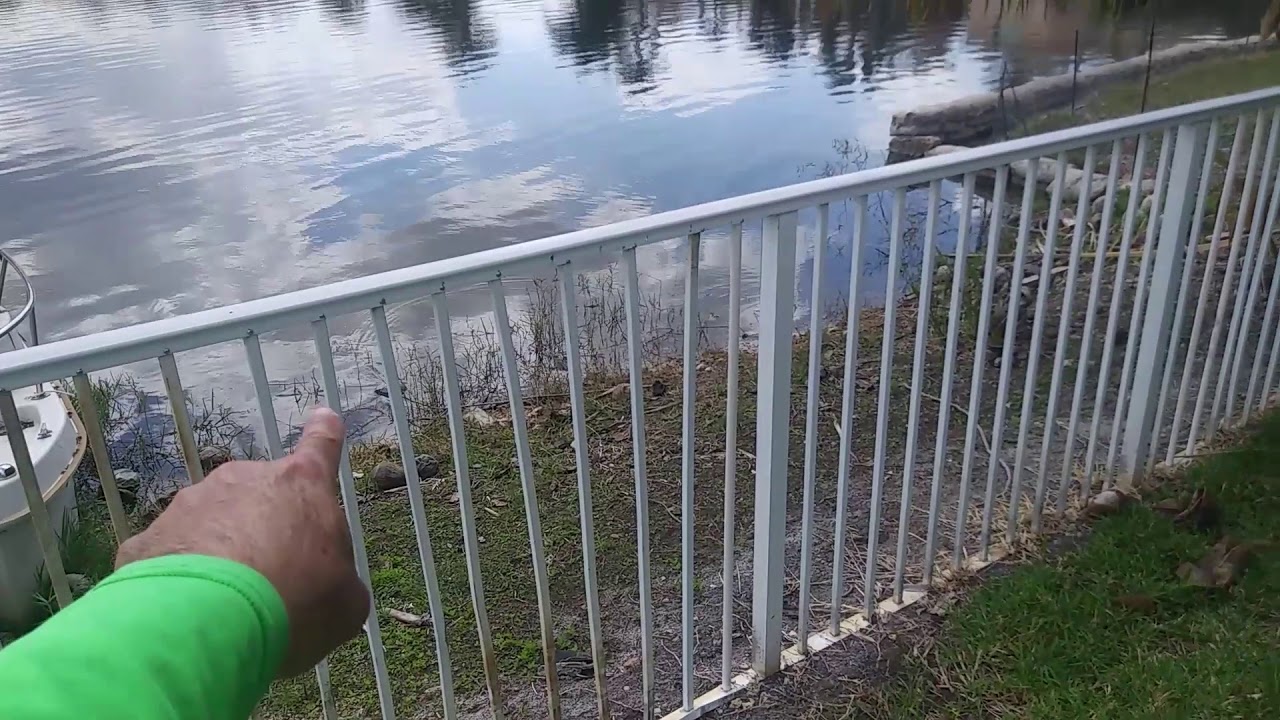 Why Broken Irrigation Sprinkler Heads And Nozzles Cause More Damage Than Insects And Disease on