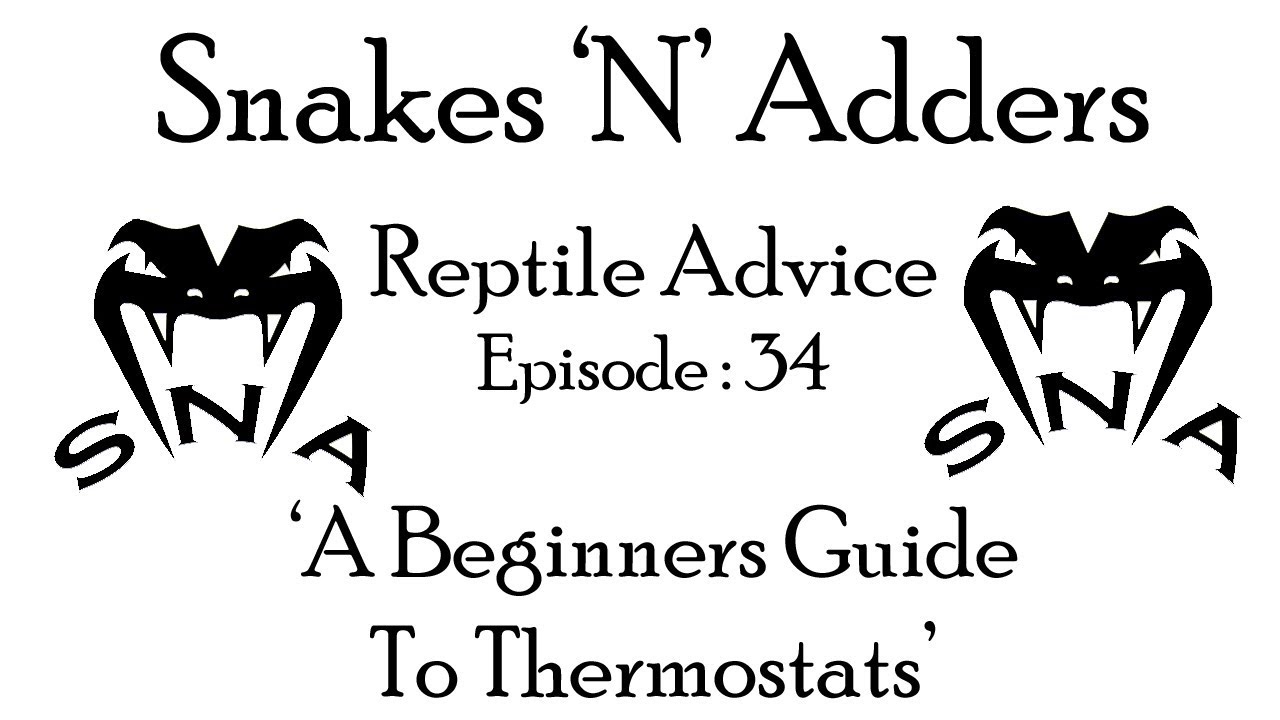 camera iphone 8 plus apk Snakes 'N' Adders Reptile Advice : Episode 34 - (Thermostats, a beginners no b-s guide)
