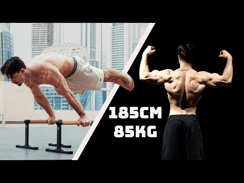Planche Workout + Physique Update