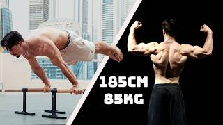 Planche Workout + Physique Update