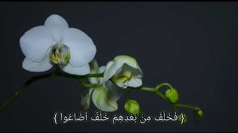 تلاوة مشتركه يهتز لها القلب سورة مريم للقراء احمد العمراني وإسلام صبحي وهزاع البلوشي ومشاري العفاسي