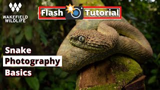 How to Do Flash Photography with SNAKES!