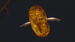 The Idaho Potato Drop over the years